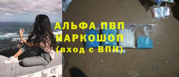 первитин Богданович