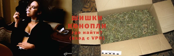 тгк Богородицк