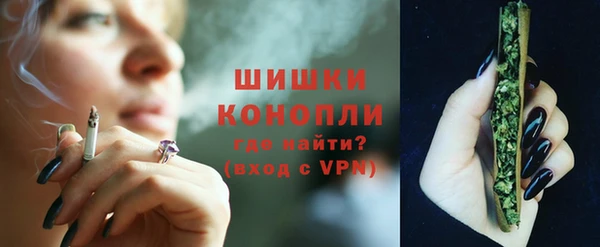 первитин Богданович