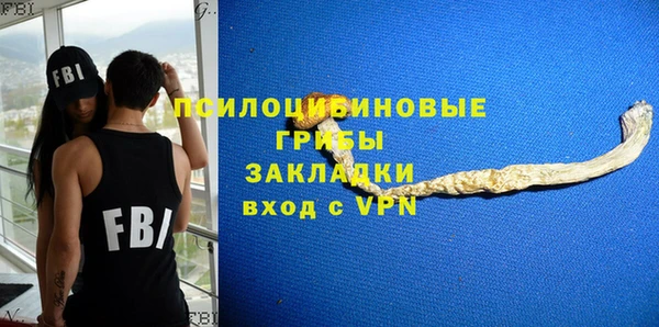 тгк Богородицк
