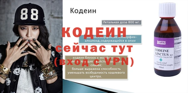 спиды Богородск
