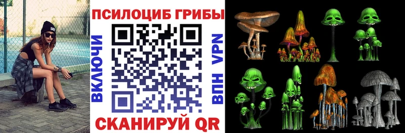 Галлюциногенные грибы Magic Shrooms  Малаховка 